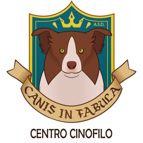 centro-cinofilo-canis-in-fabula-palermo