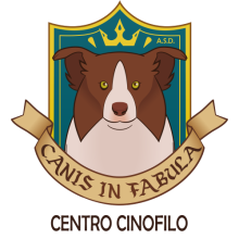 centro-cinofilo-canis-in-fabula-palermo
